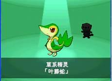 口袋妖怪黑病毒