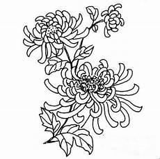 花卉简笔画大全