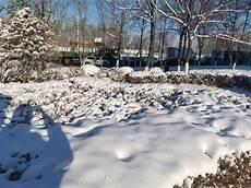 今年冬天下雪了没